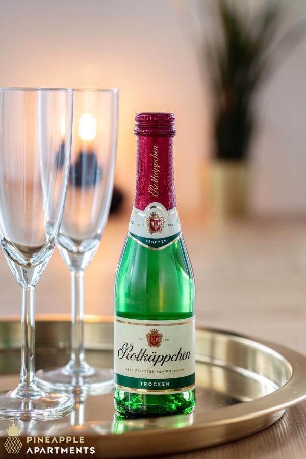 Pineapple Apartments Dresden Zwinger IX - 80 Qm - 1X Free Parking - 외부 사진